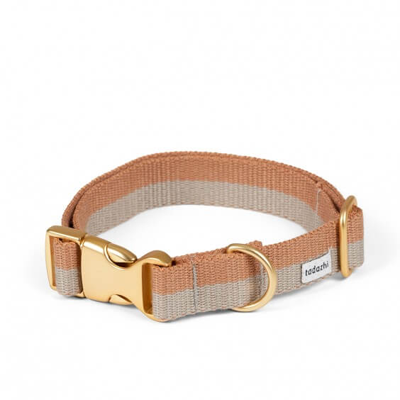 Tadazhi Dog dog collar - Agof Store