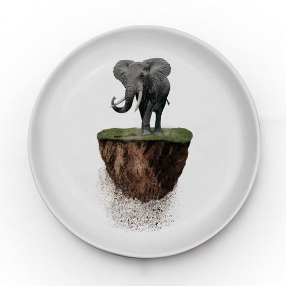 SA13 You are not here Elephant | Ceramic Plate Ø24 Cm | Agof Store