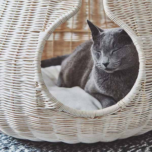 Cat baskets and beds